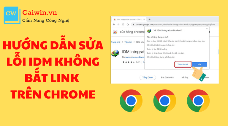 Hướng dẫn sửa lỗi IDM không bắt link trên Chrome