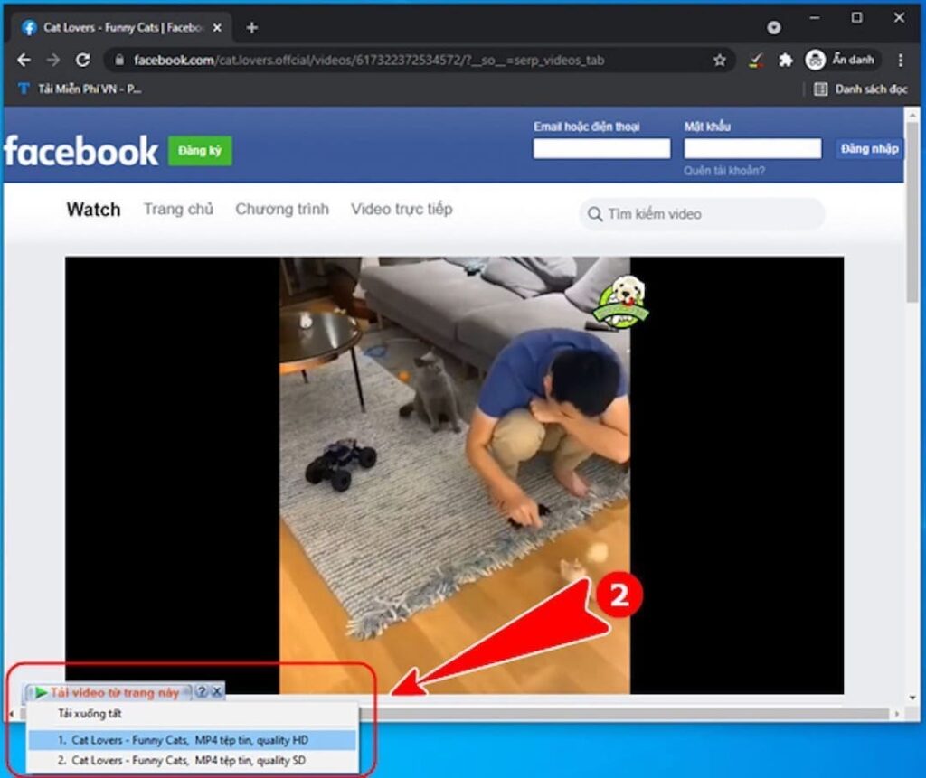 tai video facebook bằng IDM