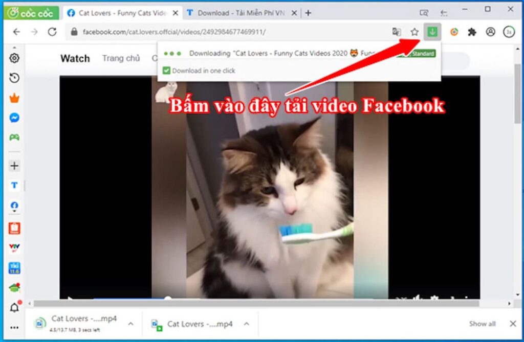 tải video facebook bằng cốc cốc